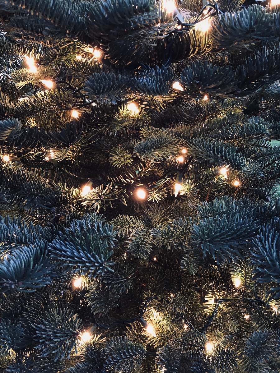 christmas tree green Christmas tree with LED light ornament